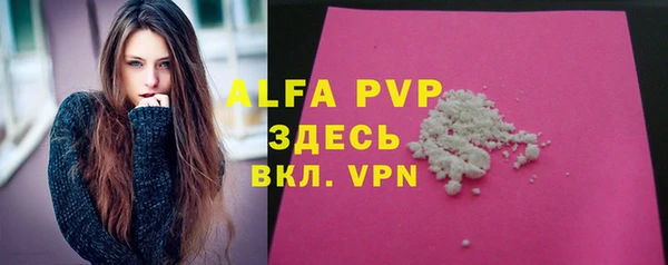 сатива Волоколамск