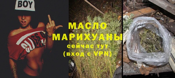 сатива Волоколамск