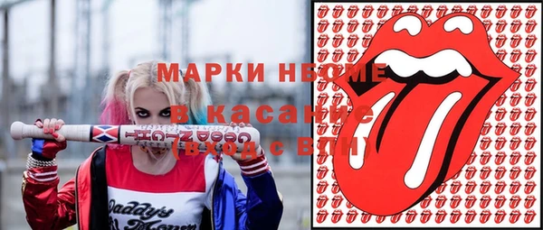 сатива Волоколамск