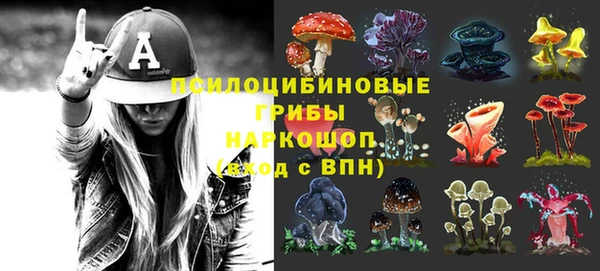 сатива Волоколамск
