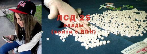 сатива Волоколамск