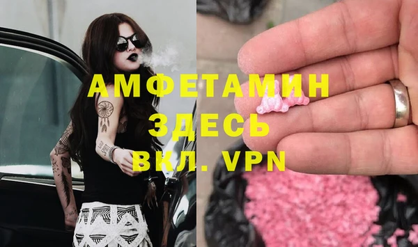 сатива Волоколамск