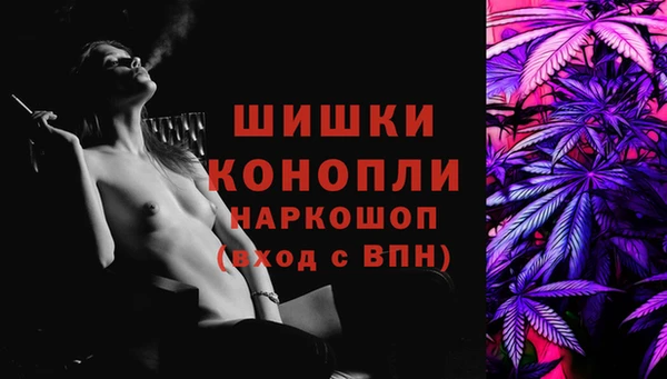 сатива Волоколамск